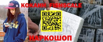 СК Новодвинск