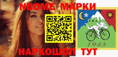 СК Новодвинск