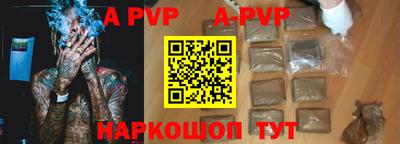СК Новодвинск