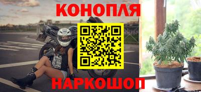 СК Новодвинск