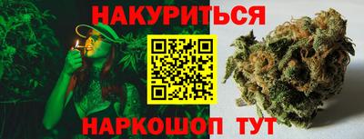 СК Новодвинск