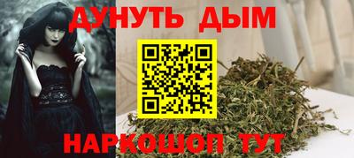 СК Новодвинск