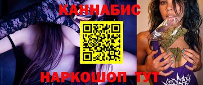 СК Новодвинск