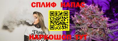 apvp Новозыбков