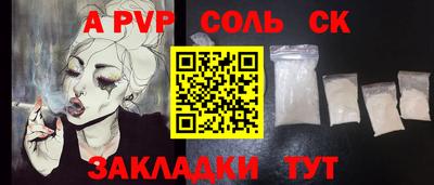 СК Новодвинск