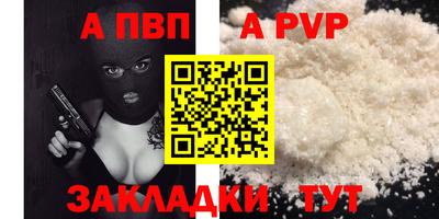 СК Новодвинск