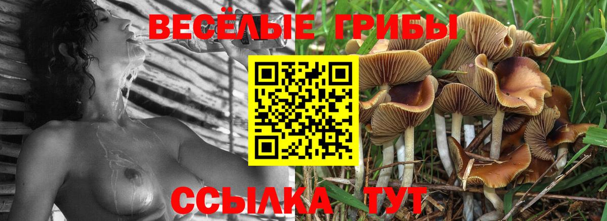 Галлюциногенные грибы ЛСД  Вход с VPN  Северобайкальск 