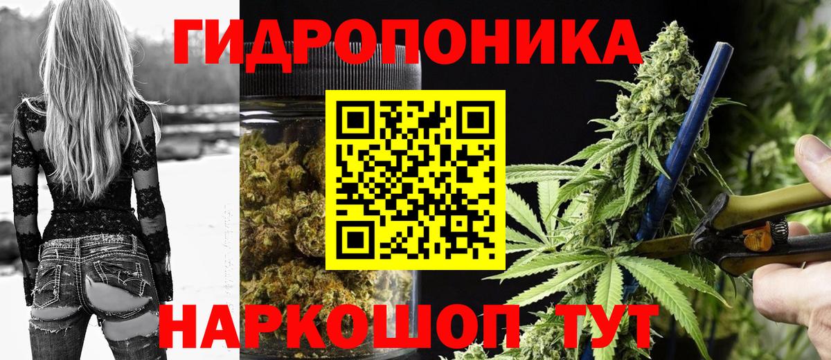 Шишки марихуана семена  МАРИХУАНА сатива  Бошки Шишки гибрид  Марихуана тримм  Северобайкальск  Вход с VPN 